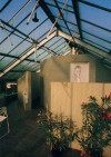 Glashaus