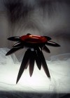Urushi Arai